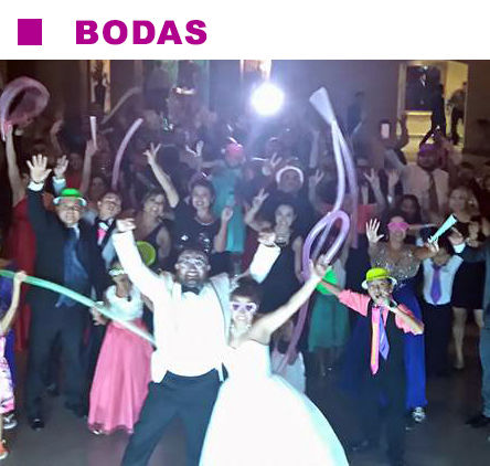 Bodas